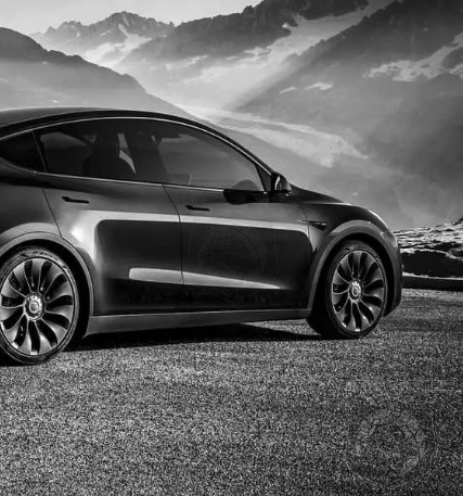 Is Selling Your Tesla Over Politics Over Sensible Move Or Are You Just Brainwashed?
